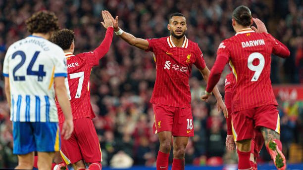 迷的极大兴 迷的极大兴